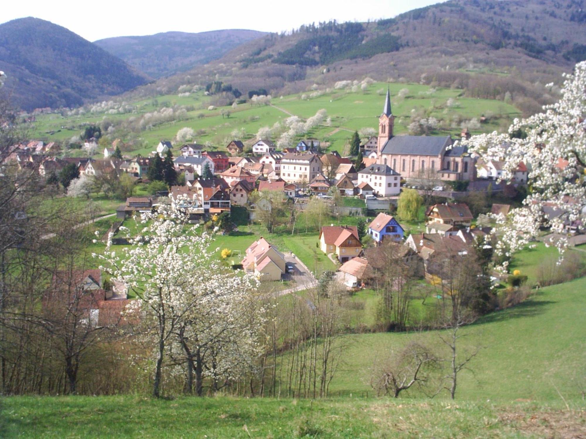 Gite Bellevue Breitenbach Bagian luar foto