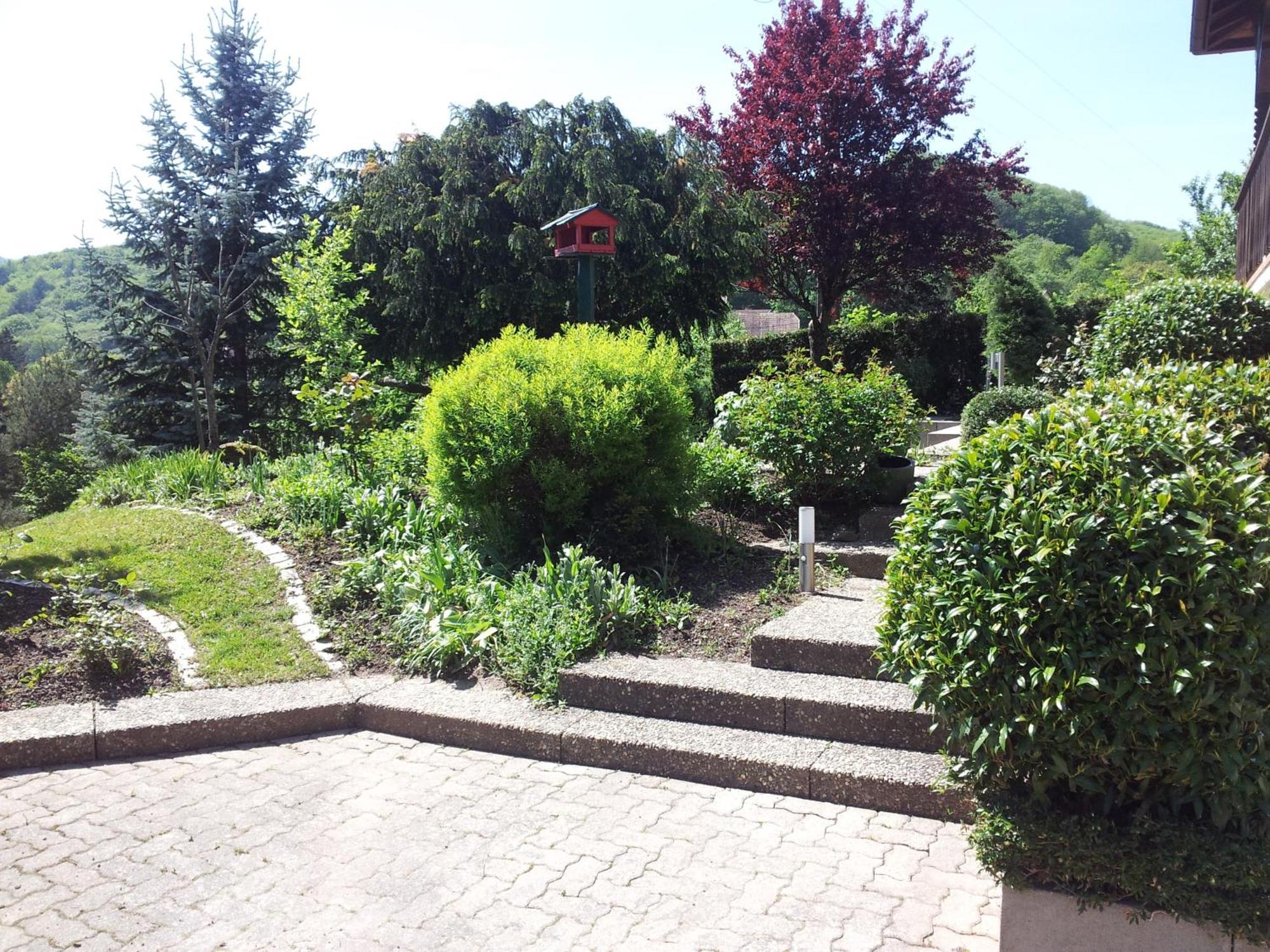 Gite Bellevue Breitenbach Bagian luar foto