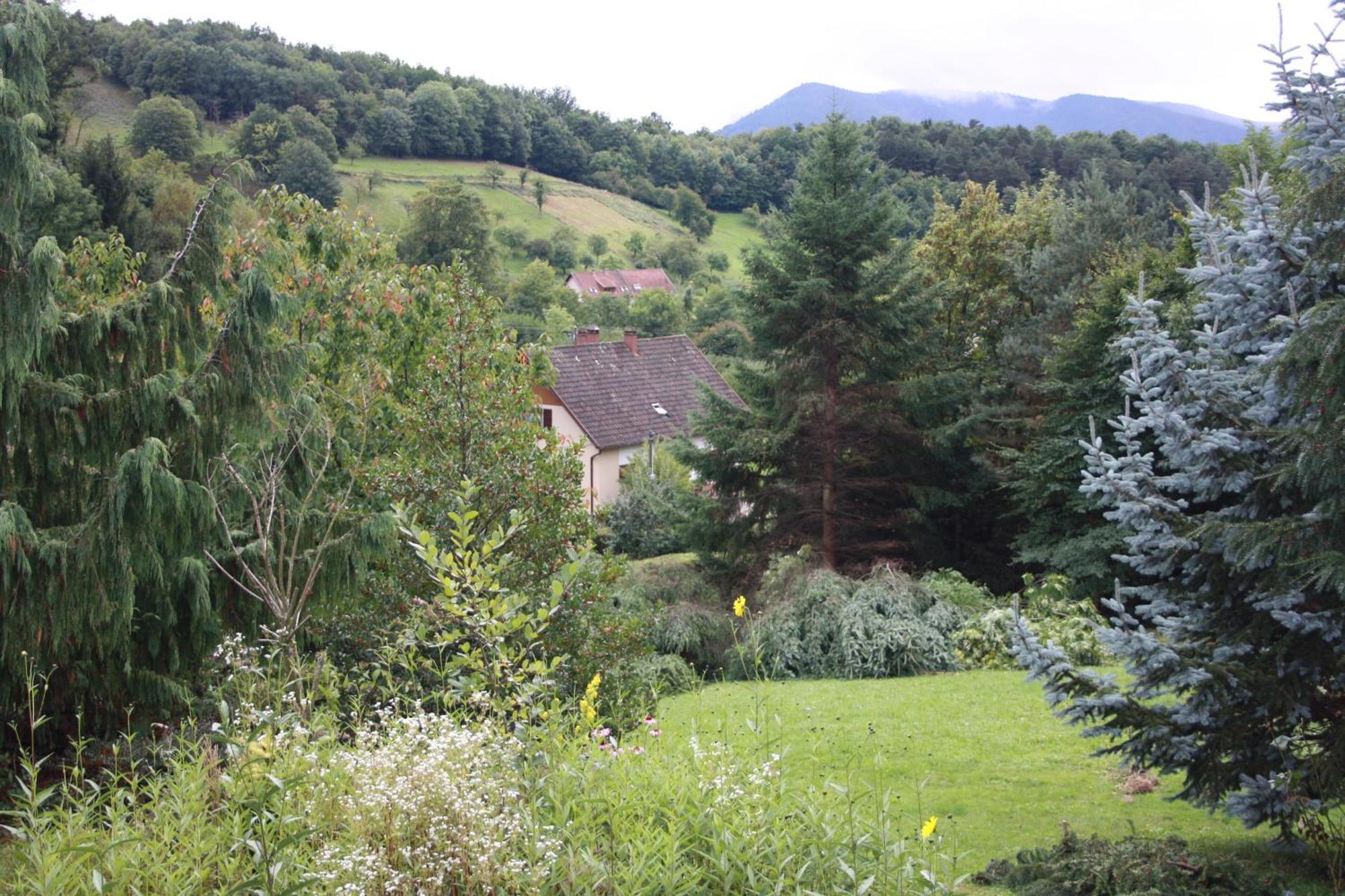 Gite Bellevue Breitenbach Bagian luar foto