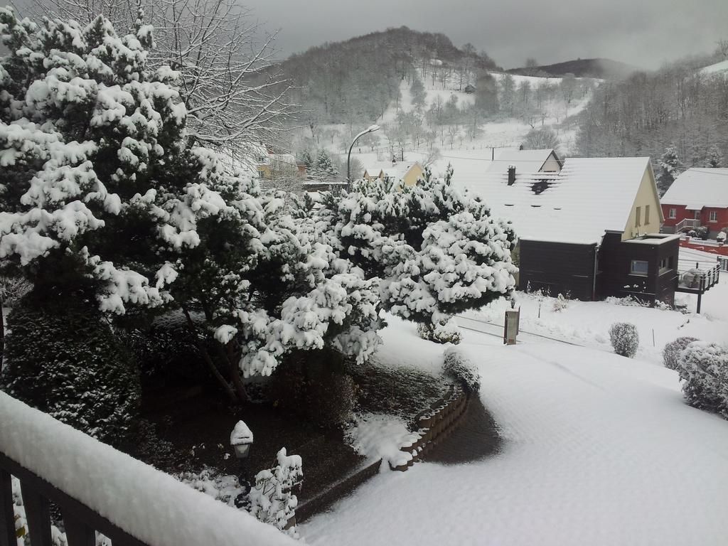 Gite Bellevue Breitenbach Ruang foto