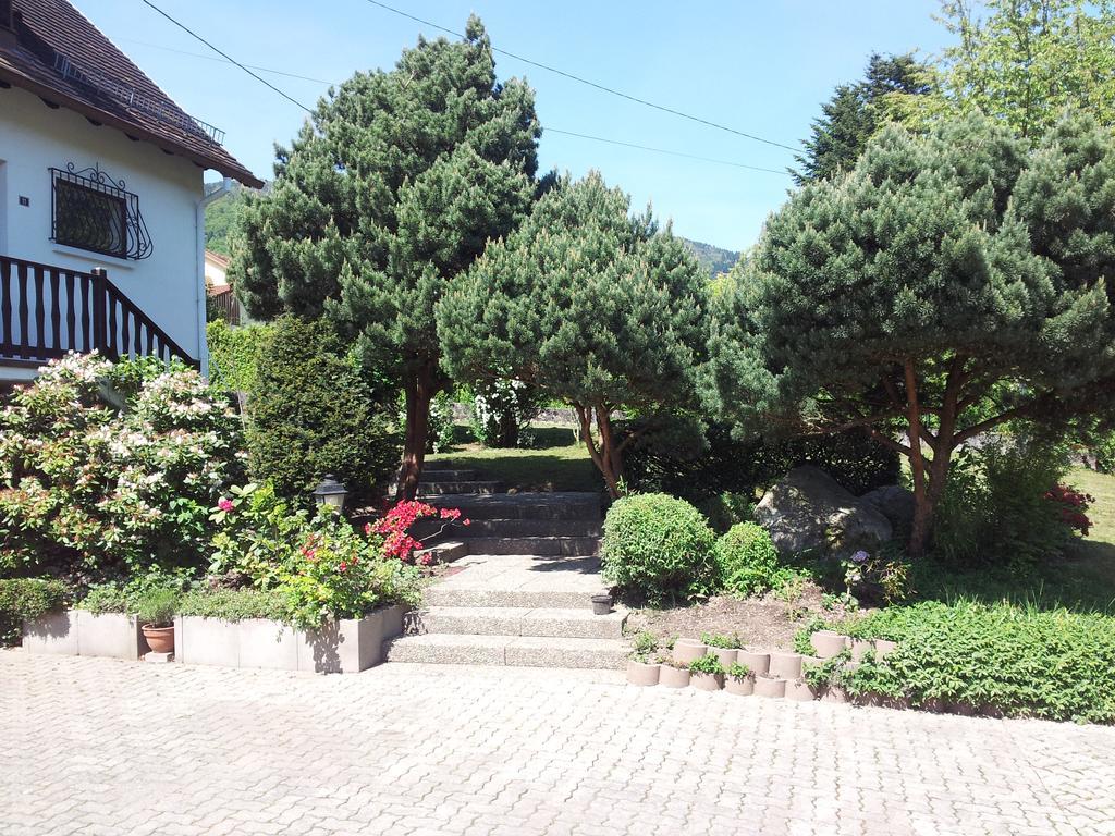 Gite Bellevue Breitenbach Bagian luar foto